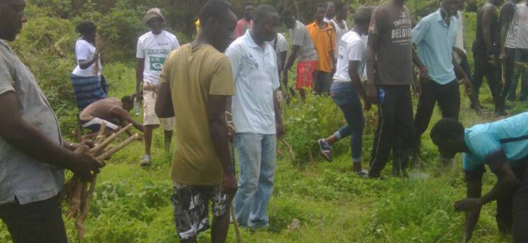 The Voice Of Climate Change In Africa