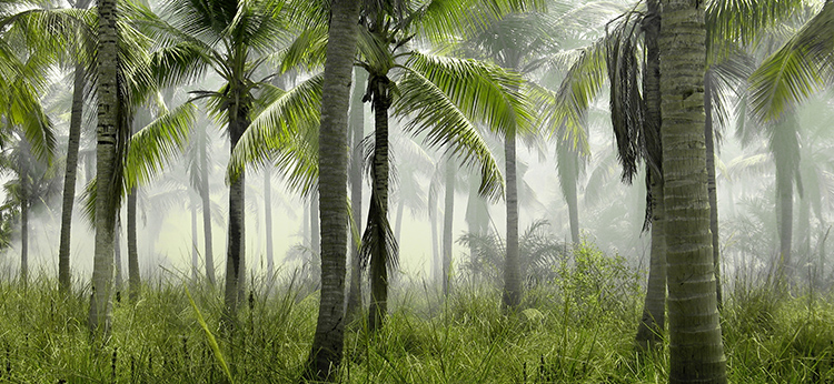 Listen: The Voice From Within